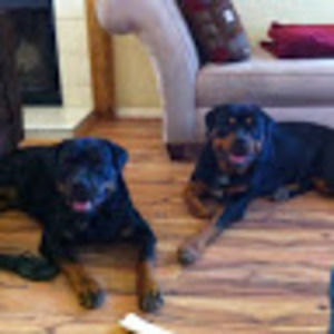 Meet your Posher, Brian